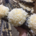 福建古田新鲜银耳高山银耳莲子羹必配品6朵装
