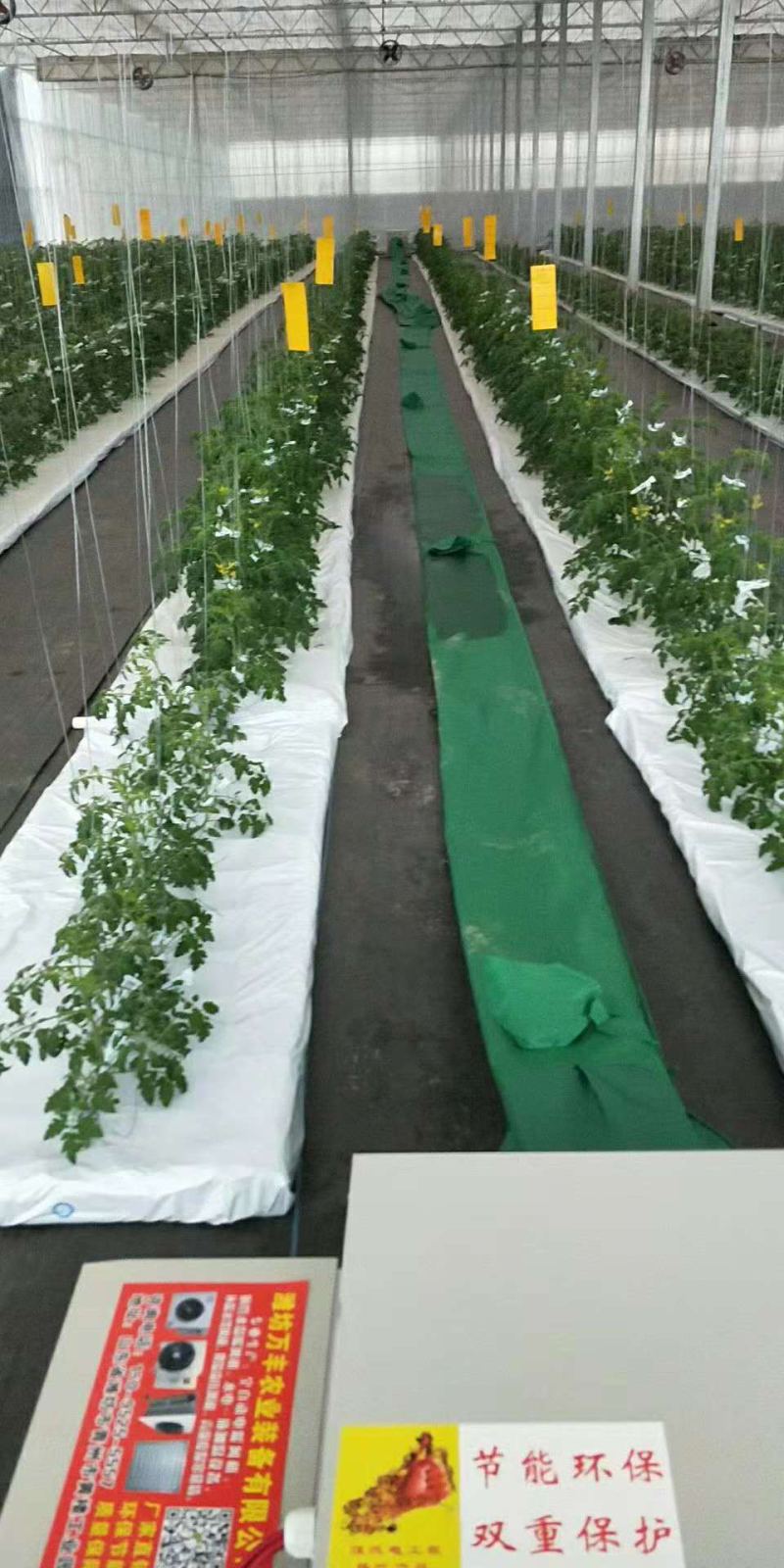 温室大棚加温设备养殖育雏暖风机养殖热风炉