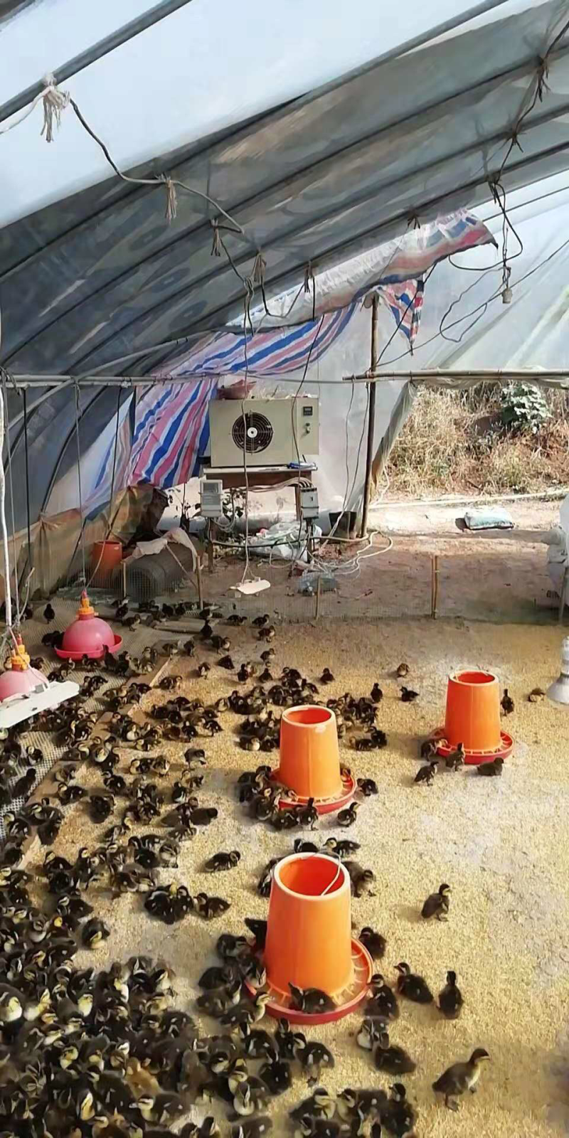 温室大棚加温设备养殖育雏暖风机养殖热风炉