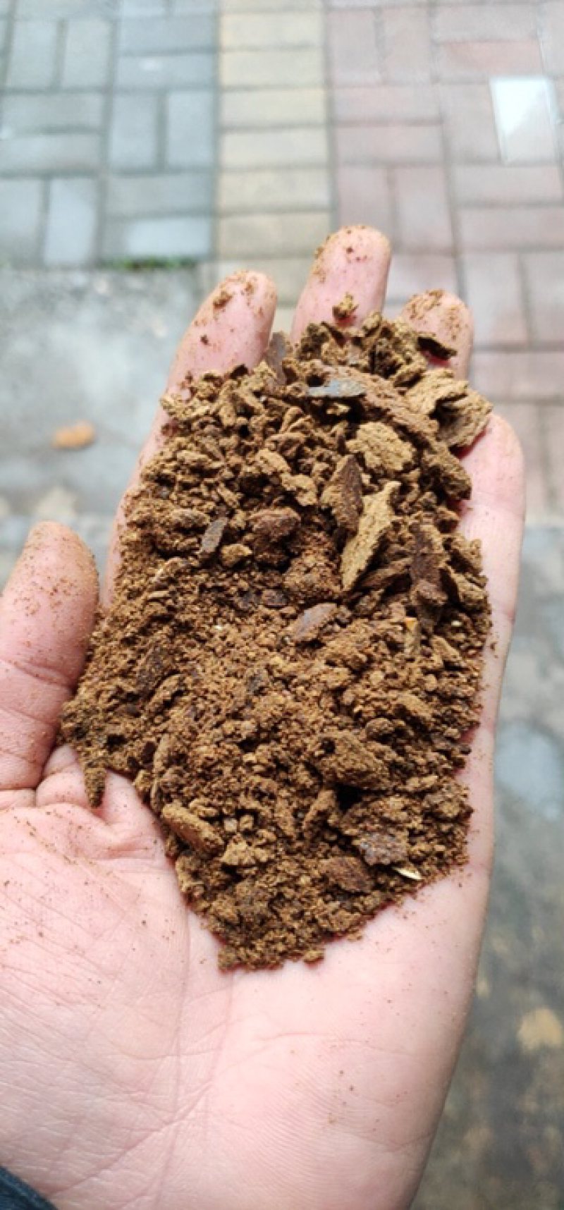 小榨油厂本地菜籽高温压榨菜籽饼，香味浓郁，颜色好看