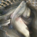 草鱼，江团，鲈鱼，鲤鱼，鲟鱼，等