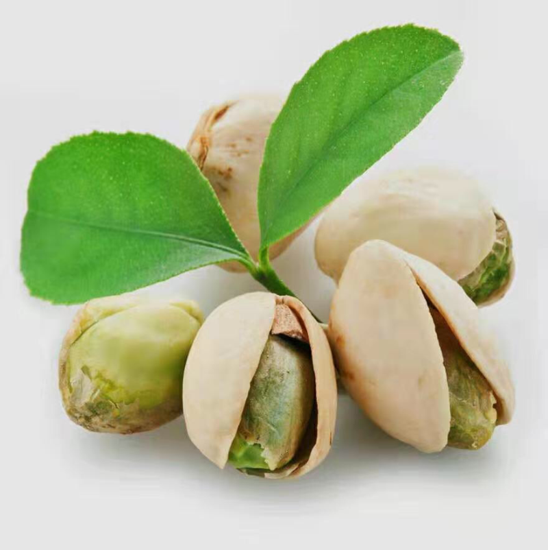 开心果树苗绿仁嫁接阿月浑子绿仁开心果当年结果南方北方种植