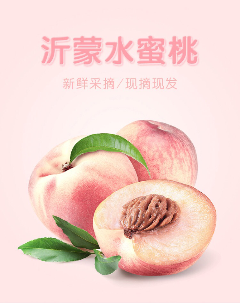 山东水蜜桃大量供应