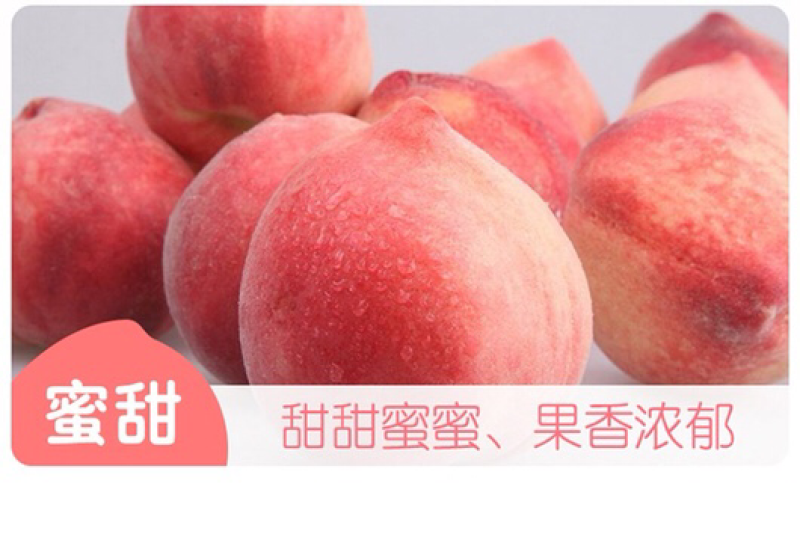 山东水蜜桃大量供应