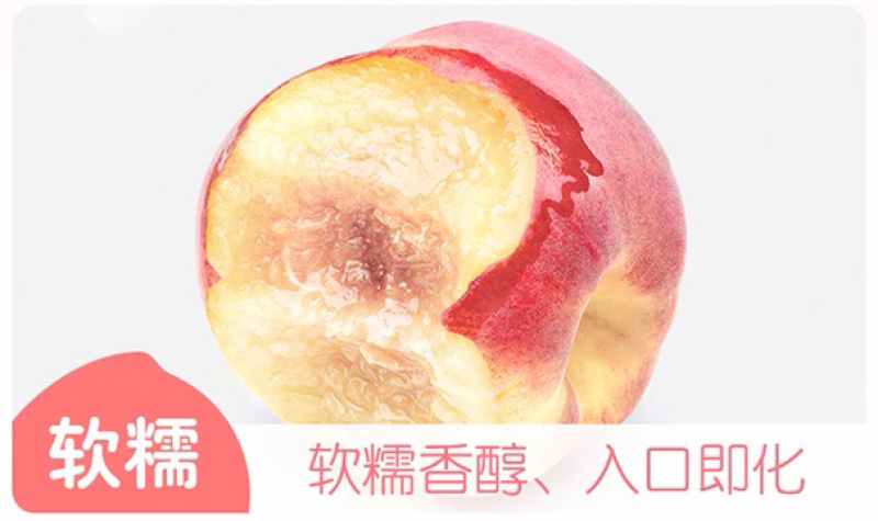 山东水蜜桃甲天下五斤包邮