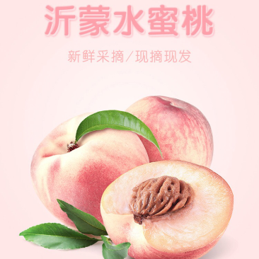 水蜜桃供应一件代发顺丰团购社群平台