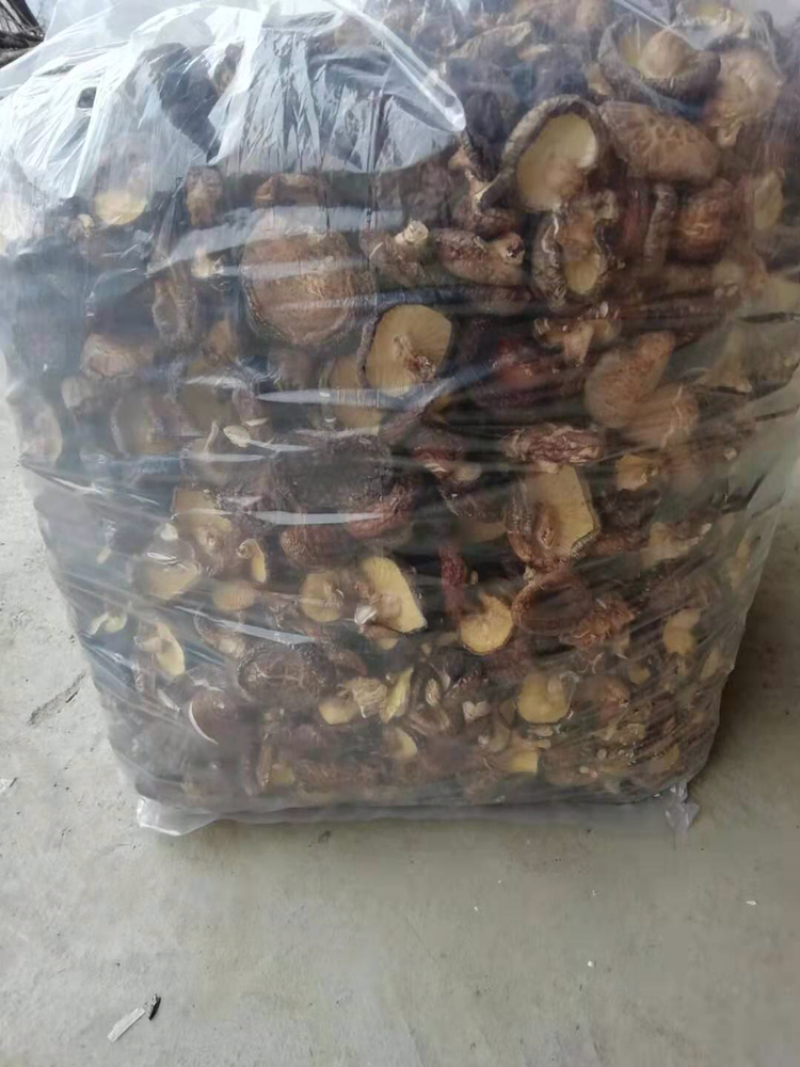 椴木香菇。大片菇