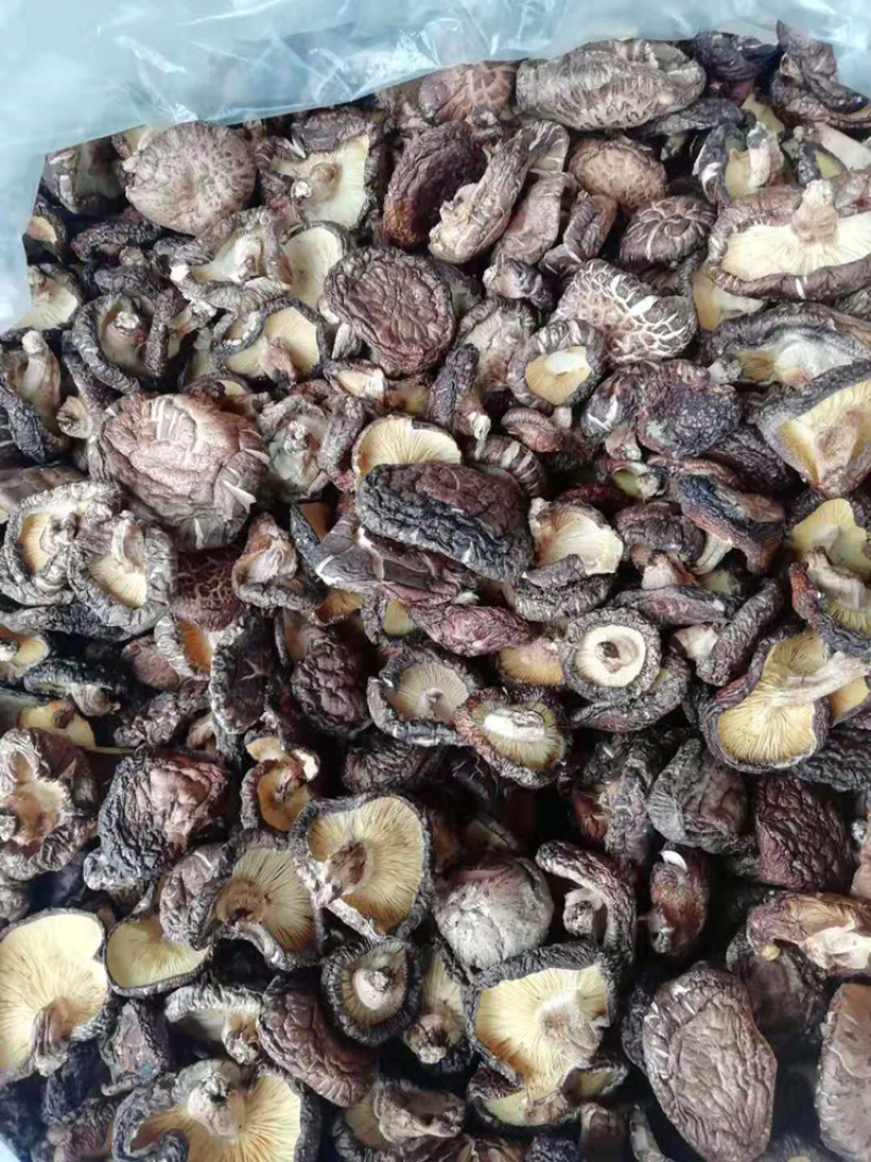 椴木香菇。大片菇