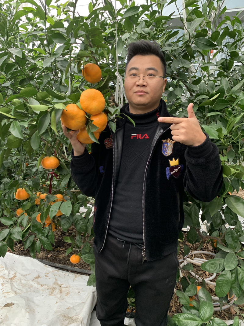明日见苗品质保证签合同销售