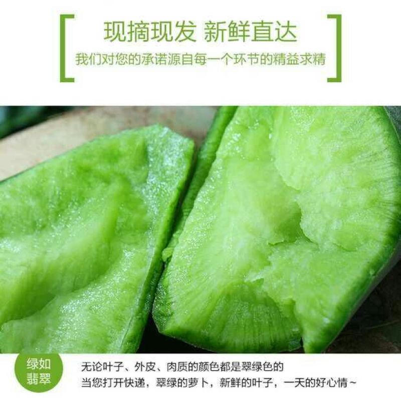 潍县青萝卜1~1.5斤起