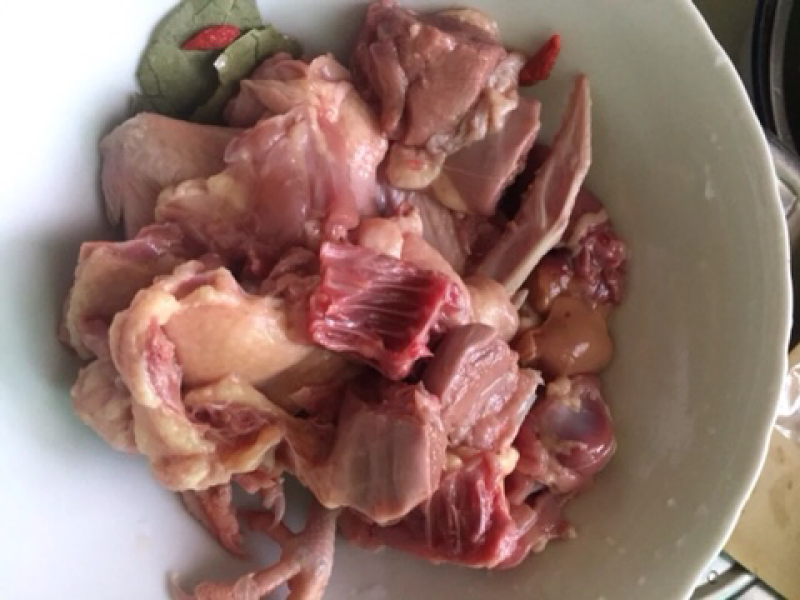 新鲜乳鸽农家散养鸽子现杀