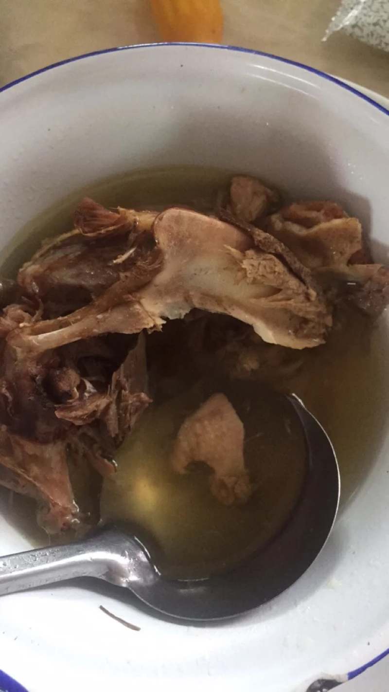 新鲜乳鸽农家散养鸽子现杀