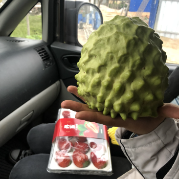 释迦果
