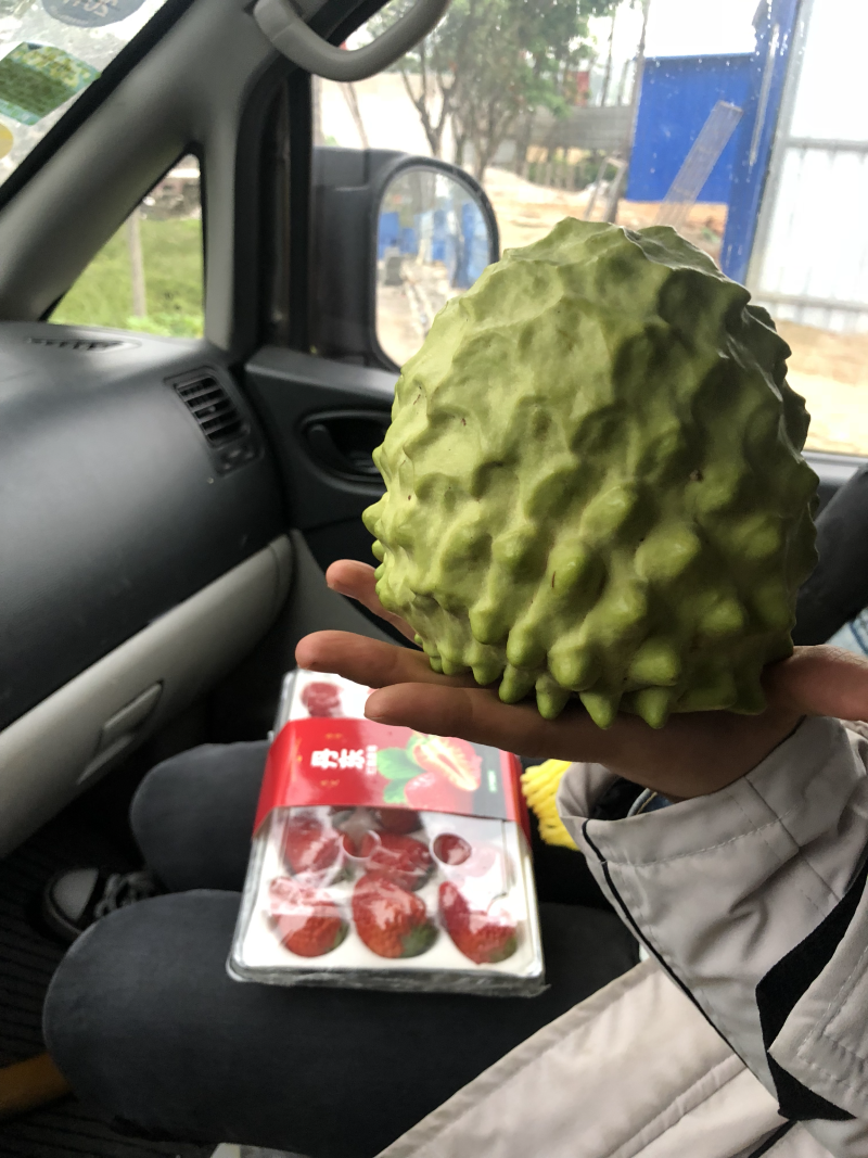 释迦果