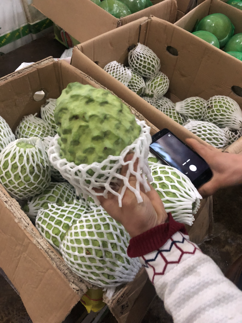释迦果