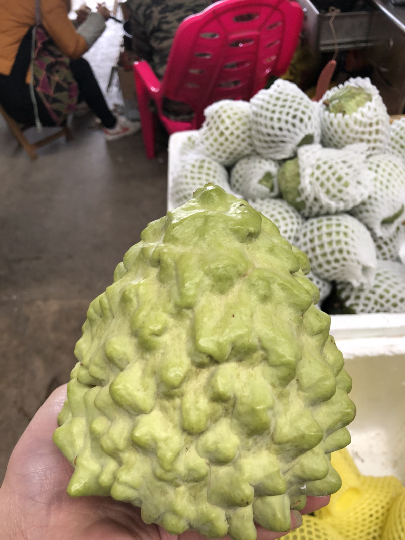 释迦果