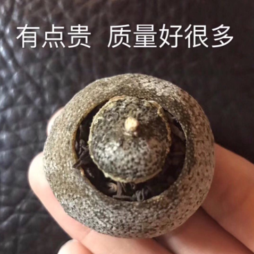小青柑正宗新会小青柑柑普茶宫廷普洱