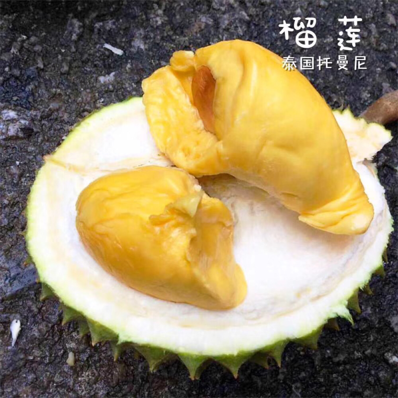 托曼妮非甲仑金枕干尧猫山榴莲