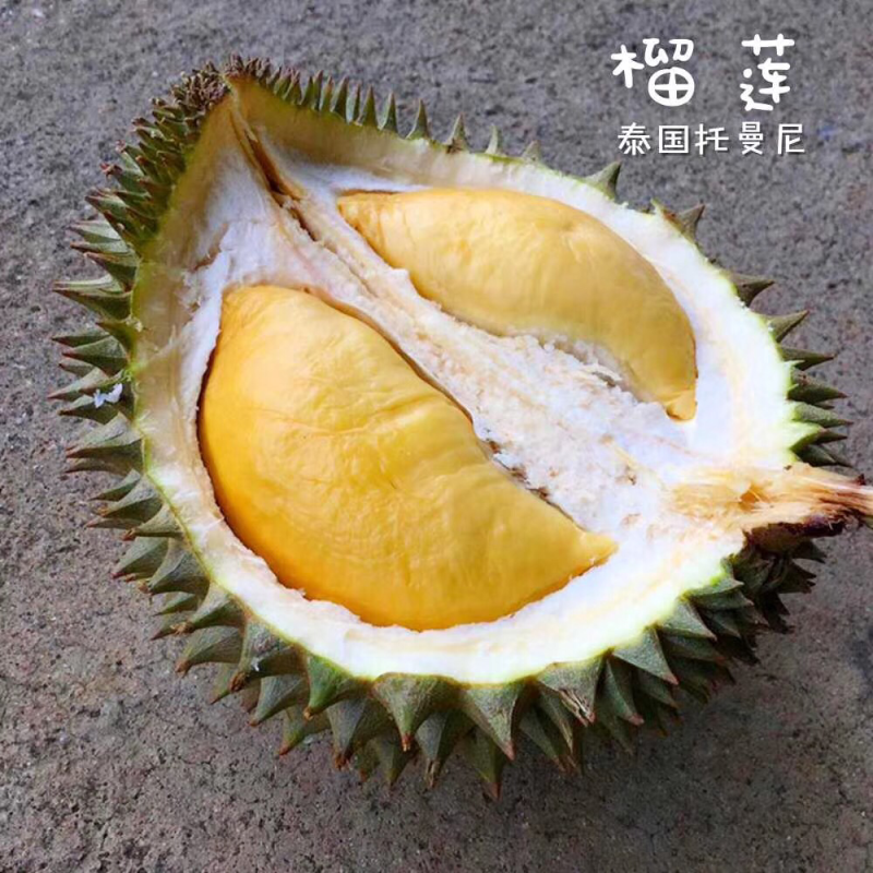 托曼妮非甲仑金枕干尧猫山榴莲