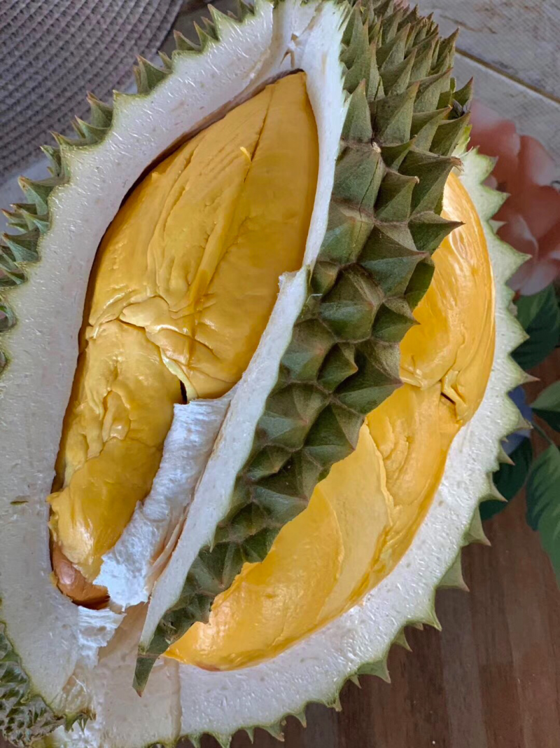 托曼妮非甲仑金枕干尧猫山榴莲