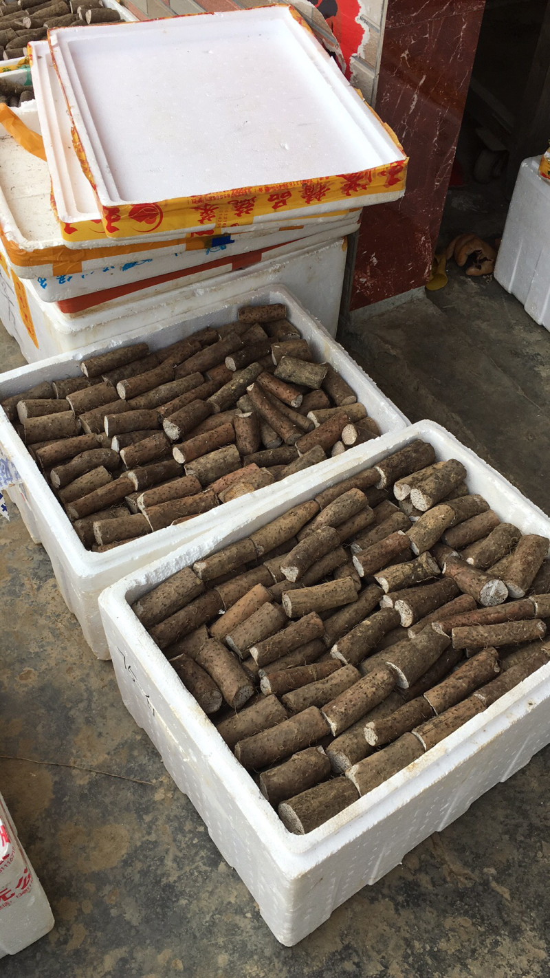 紫玉淮山山药种苗，成本价出售，降价了，