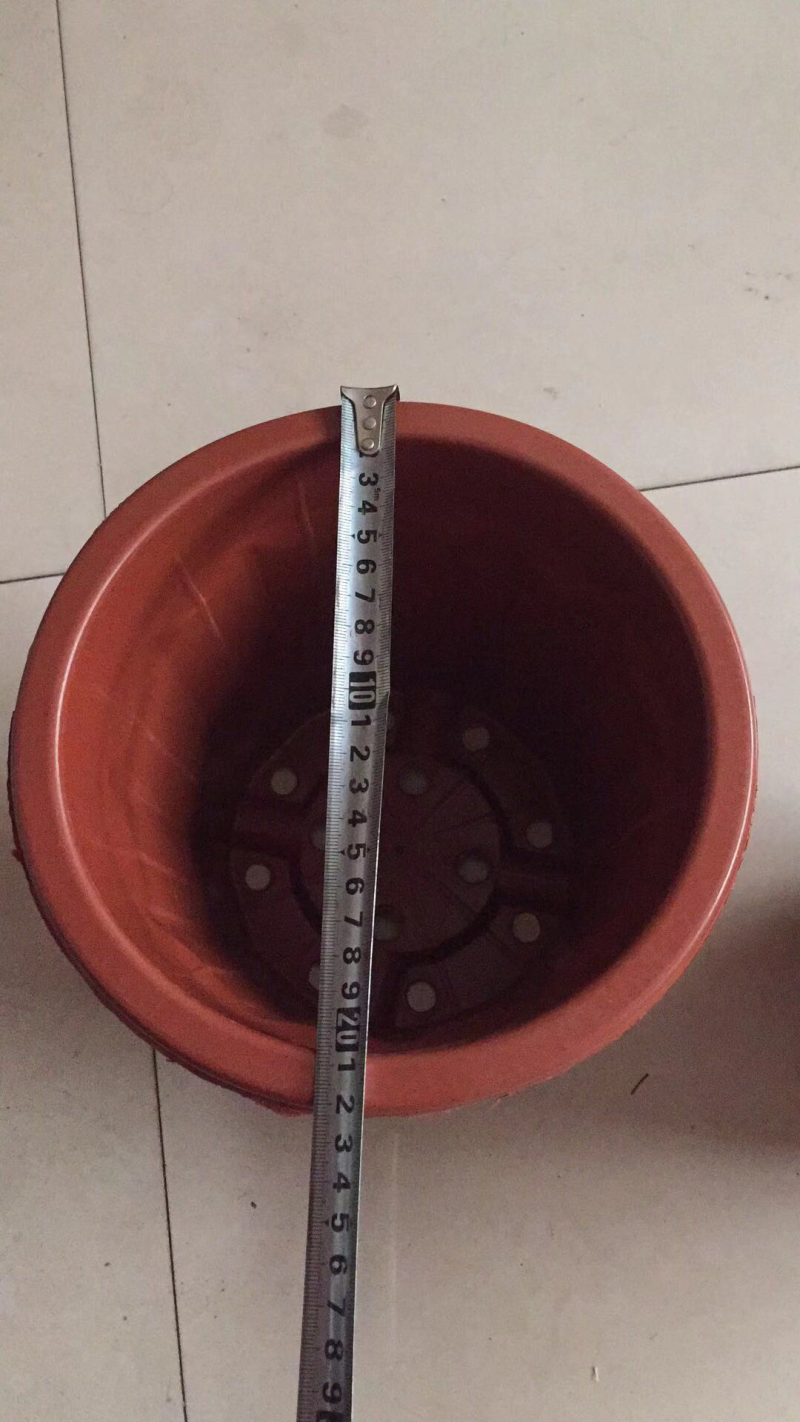 多楞花盆