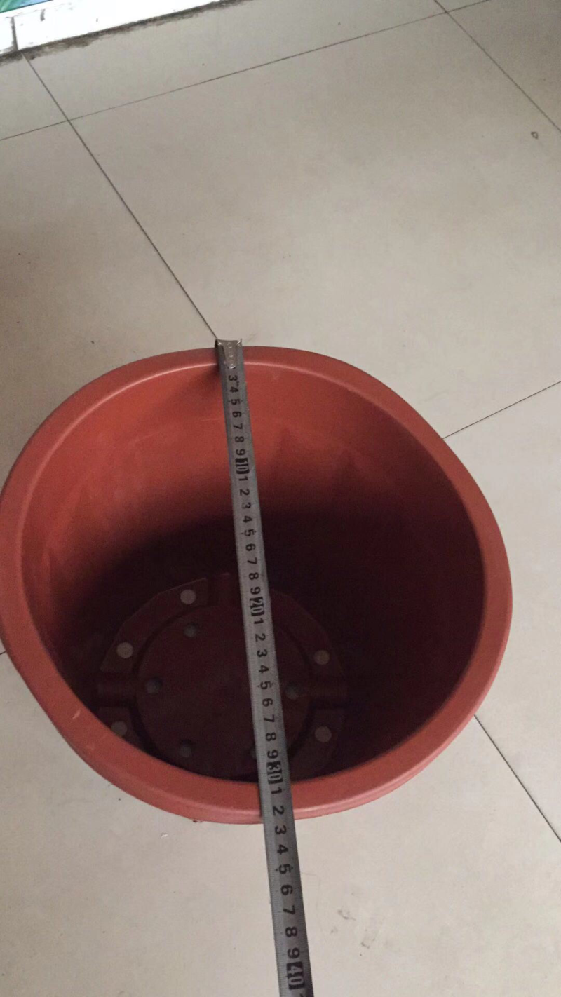 多楞花盆