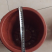 多楞花盆