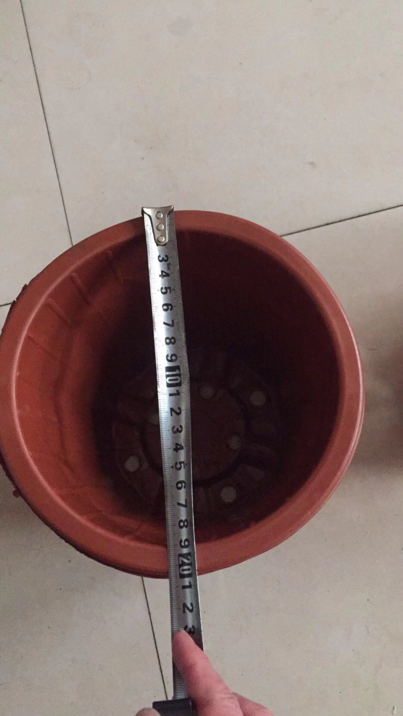 多楞花盆