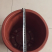 多楞花盆