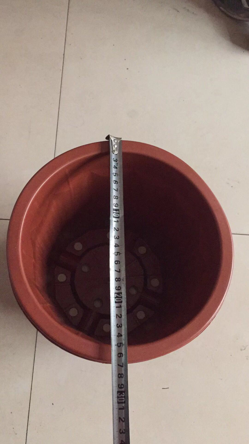 多楞花盆