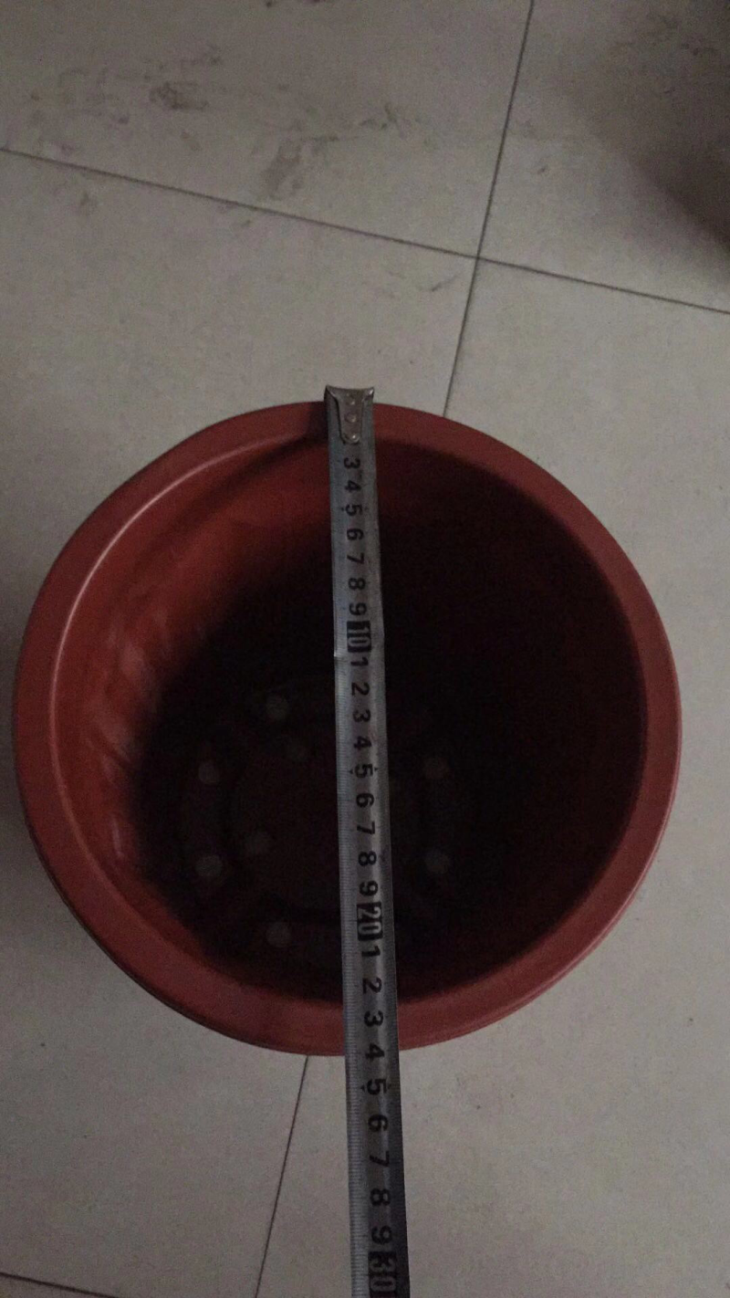 多楞花盆