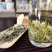 碧潭飘雪茉莉银针500克