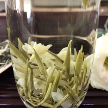 碧潭飘雪茉莉银针500克