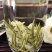 碧潭飘雪茉莉银针500克