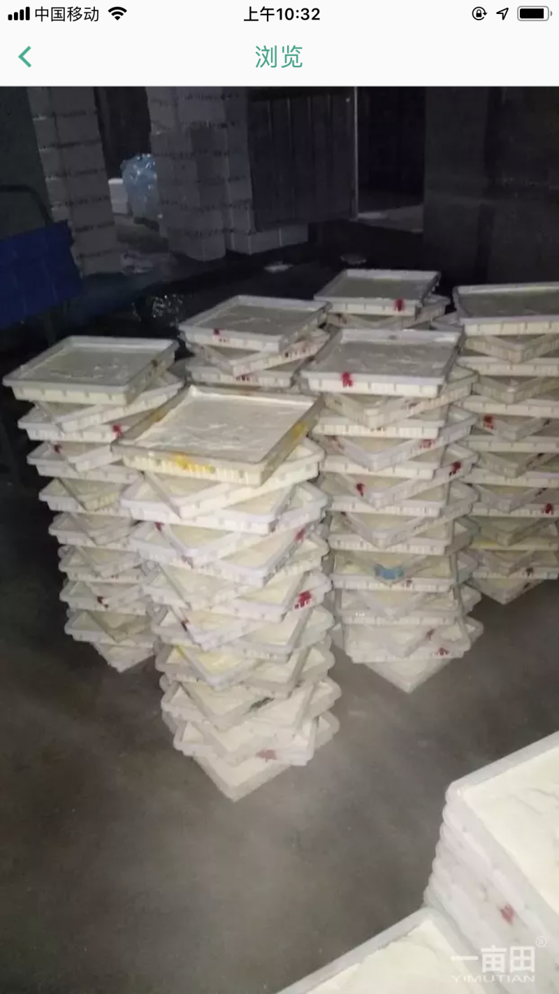 豆腐