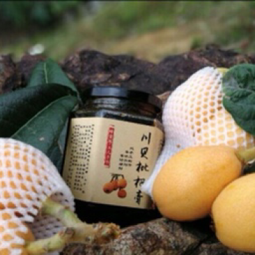 川贝枇杷膏