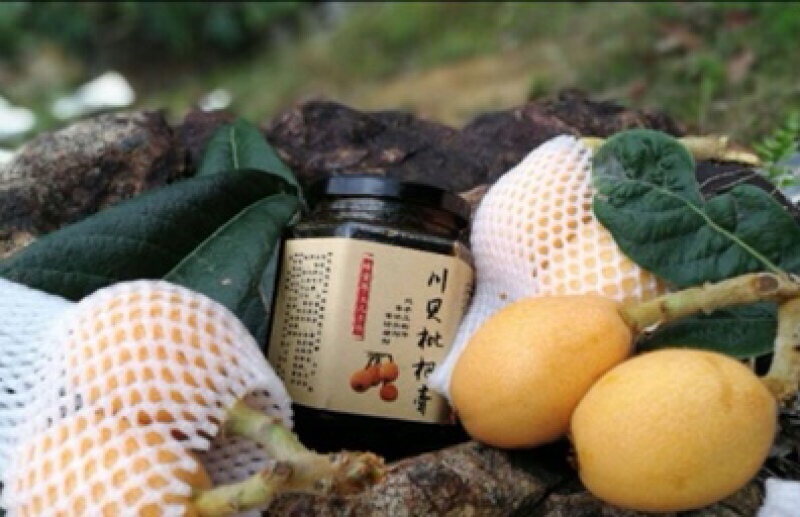 川贝枇杷膏