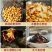 川贝枇杷膏