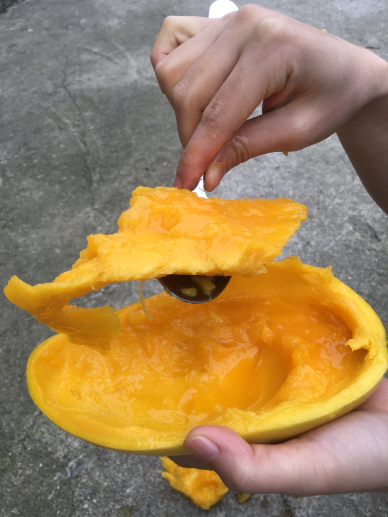 海南金煌芒非贵妃台农大青芒玉芒甜心芒果