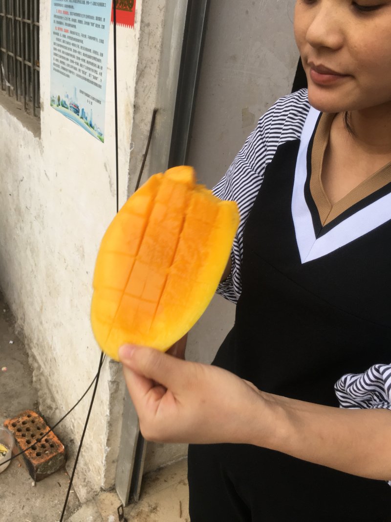 海南金煌芒非贵妃台农大青芒玉芒甜心芒果