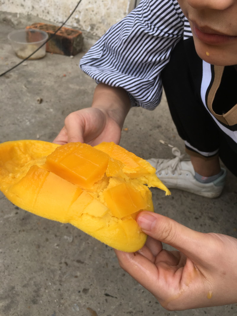 海南金煌芒非贵妃台农大青芒玉芒甜心芒果