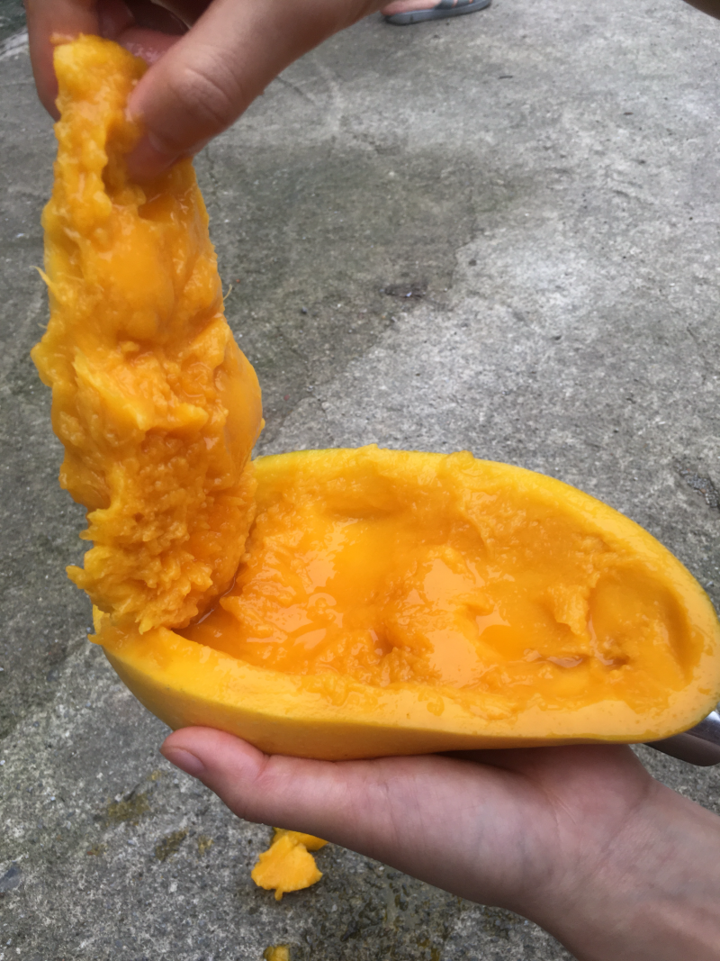 海南金煌芒非贵妃台农大青芒玉芒甜心芒果