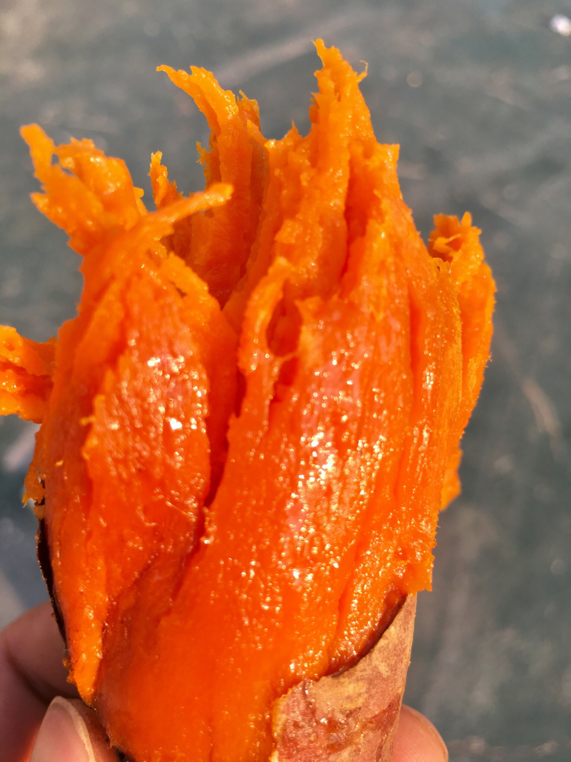 西瓜红广西巴马红西瓜红蜜薯，一件代发