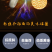 杨掌柜麻辣江湖粉加面12桶，一件代发，诚招代理