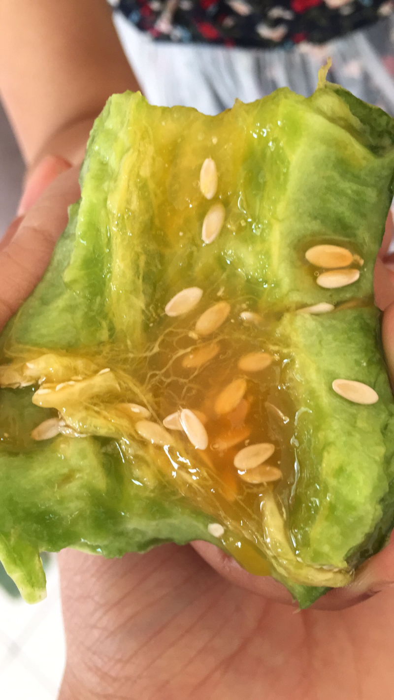 博洋蜜瓜产地直发，支持一件代发，货源稳定，质量保证。