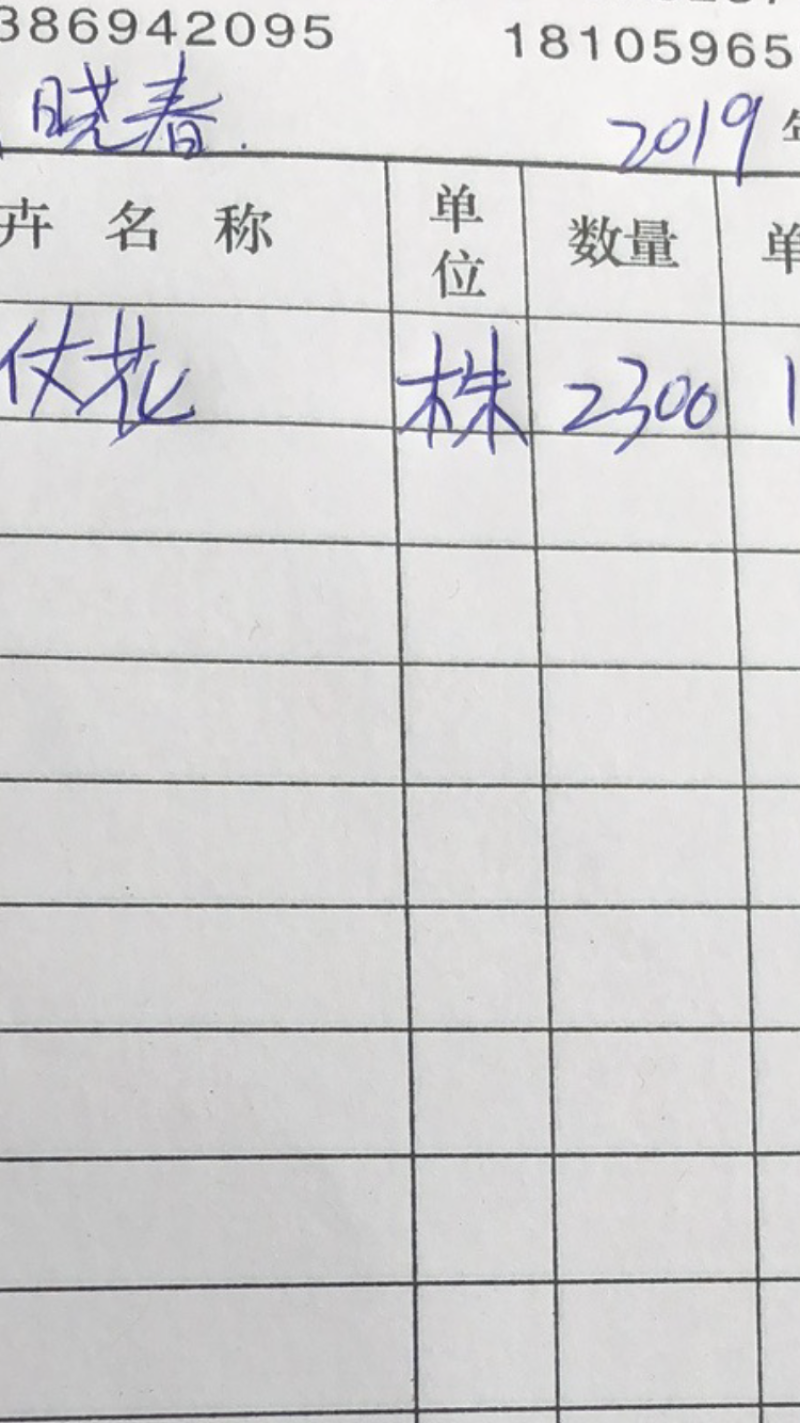 嘉宝果树苗