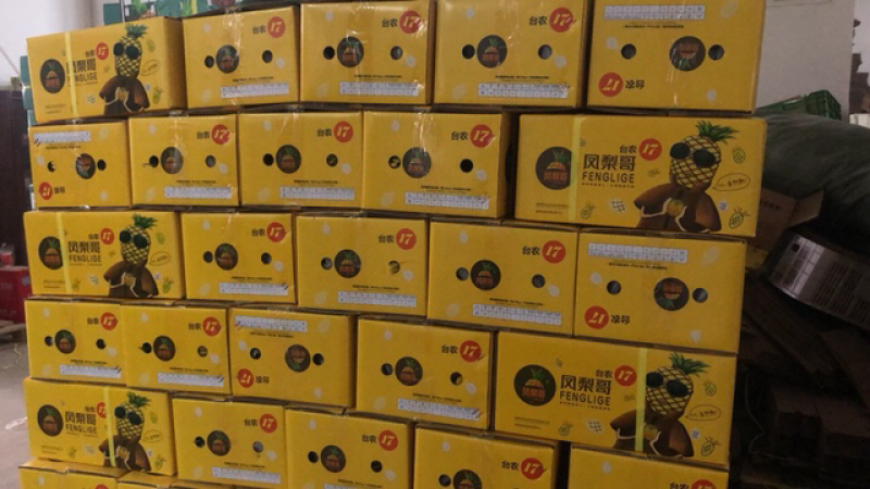 金钻17号凤梨水果5斤装/3个装新鲜当季水果无眼菠萝