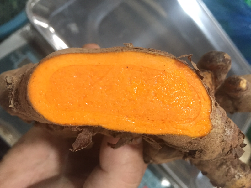 黄姜越南进口黄姜红姜靓货大量有货稳定