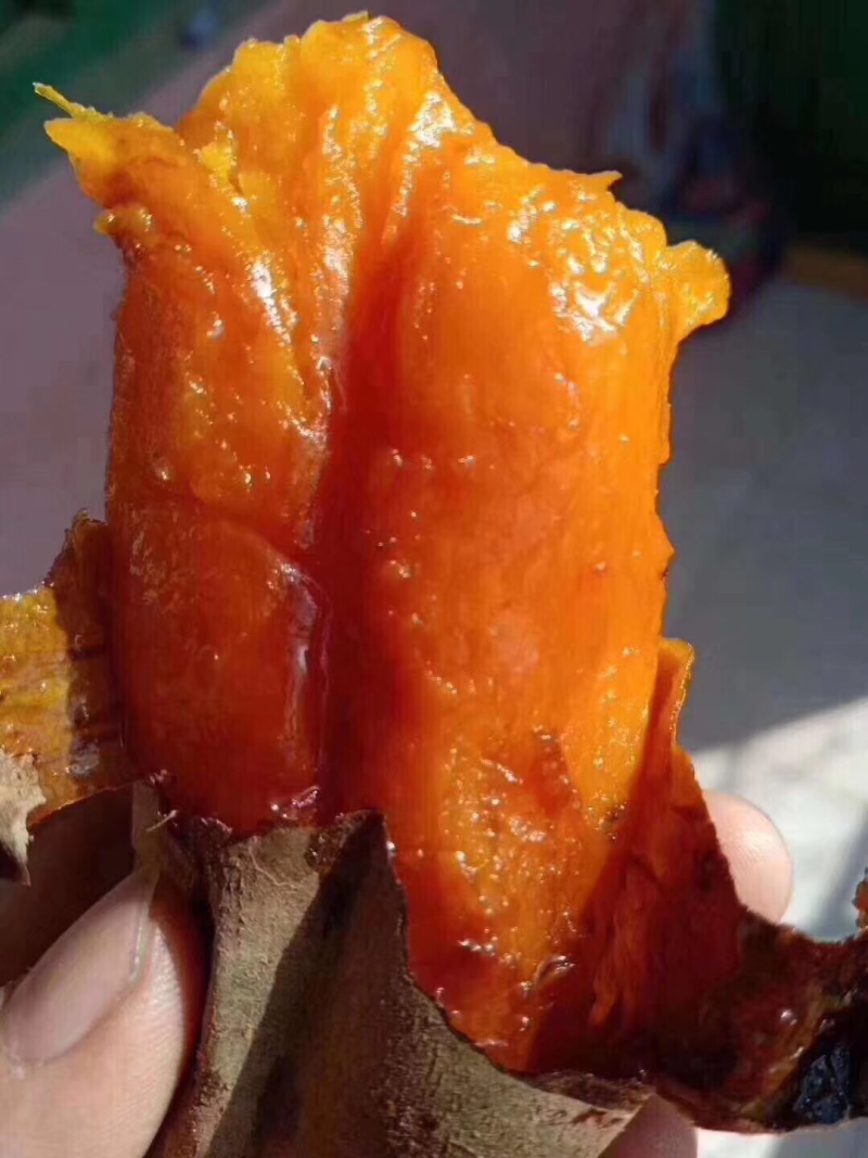 烟薯25烟蜜薯没面溪流甜